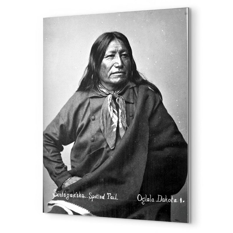 Chief Spotted Tail metal print mockup