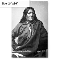 Chief Spotted Tail metal print on a plain backdrop in size 24"x36".