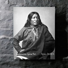 Chief Spotted Tail metal print mockup