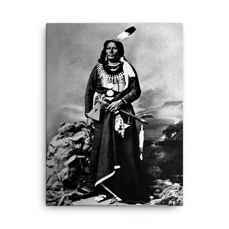 Chief Standing Bear canvas print on a plain backdrop in size 18
