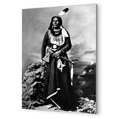 Chief Standing Bear metal print mockup