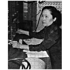 Chien-Shiung Wu jigsaw puzzle