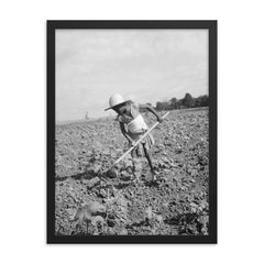 Child of impoverished tenant family working on farm, Alabama by Dorothea Lange framed print on a plain backdrop in size 18"x24".