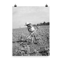 Child of impoverished tenant family working on farm, Alabama by Dorothea Lange poster on a plain backdrop in size 8"x10".