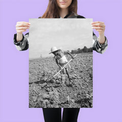 Child of impoverished tenant family working on farm, Alabama by Dorothea Lange poster 3