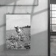 Child of impoverished tenant family working on farm, Alabama by Dorothea Lange poster 4