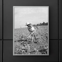 Child of impoverished tenant family working on farm, Alabama by Dorothea Lange poster 5