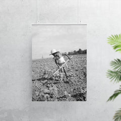 Child of impoverished tenant family working on farm, Alabama by Dorothea Lange poster 7