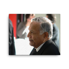 Christopher Weeramantry canvas print on a plain backdrop in size 16"x20".