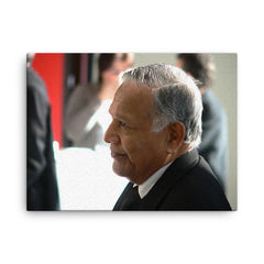 Christopher Weeramantry canvas print on a plain backdrop in size 18"x24".