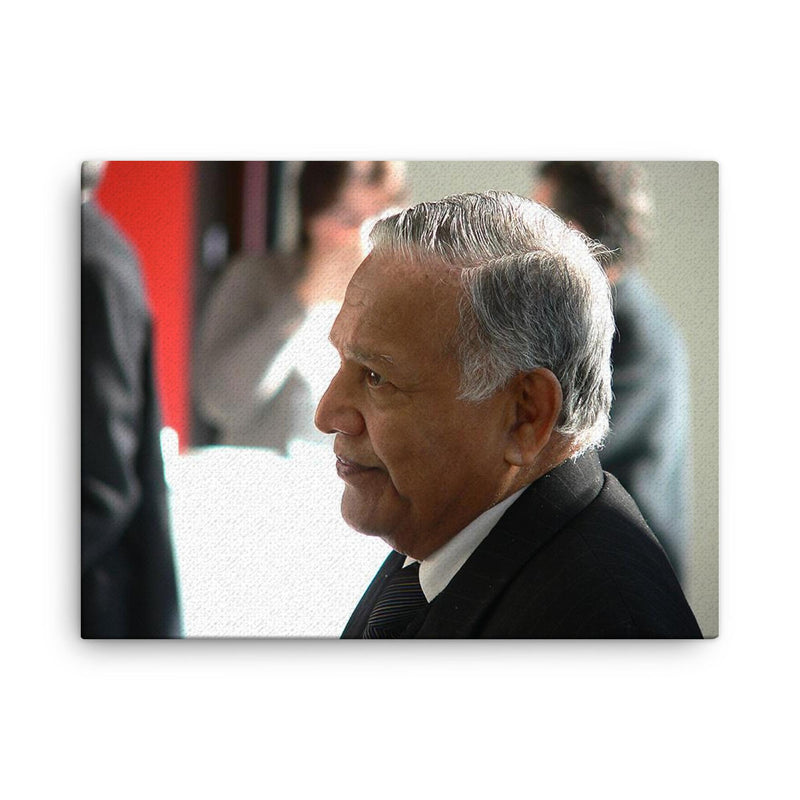 Christopher Weeramantry canvas print on a plain backdrop in size 18