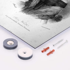 Clara Schumann metal print mockup