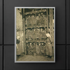 Coal Miners in a Coal Mine Elevator, 1920s Belgium poster 5