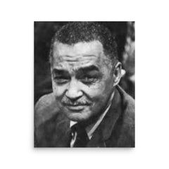 Coleman Young poster on a plain backdrop in size 16"x20".