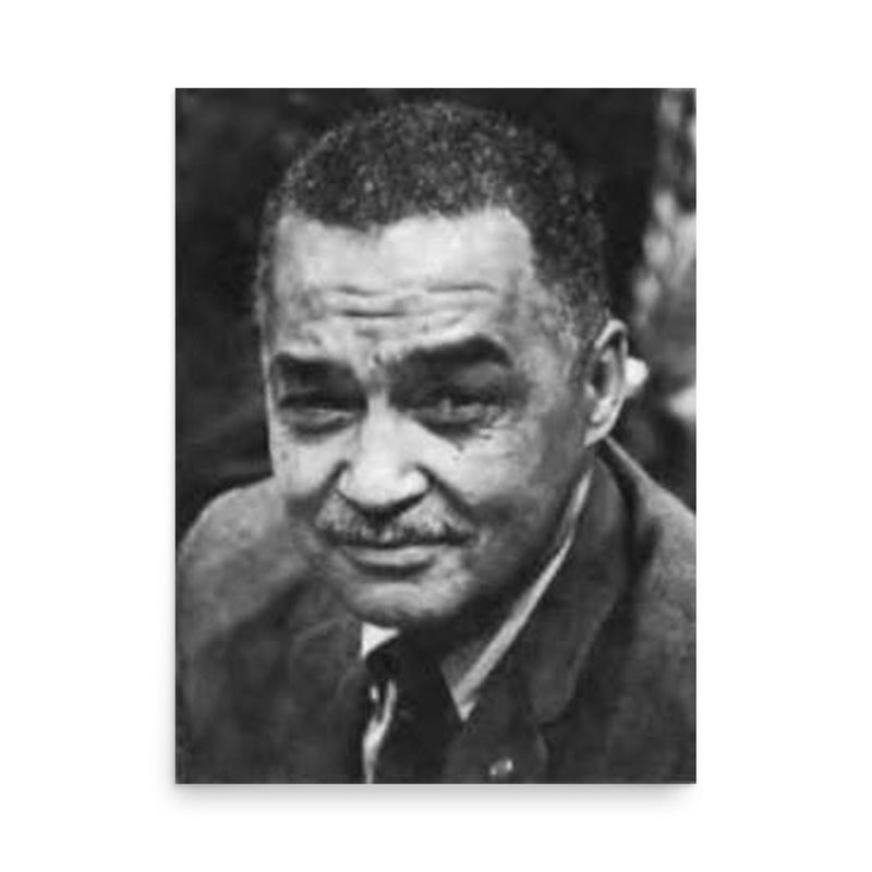 Coleman Young poster on a plain backdrop in size 18