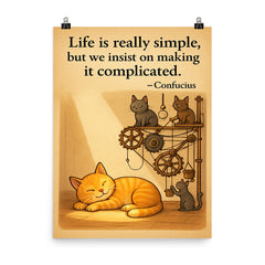Confucius quote life is simple cat napping in sunbeam poster on a plain backdrop in size 8"x10".