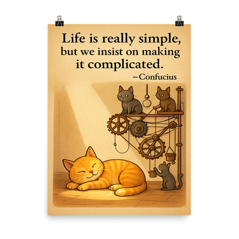 Confucius quote life is simple cat napping in sunbeam poster on a plain backdrop in size 8