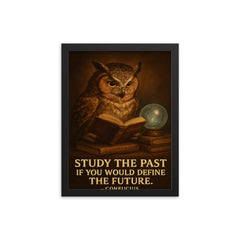Confucius quote owl with glasses reading history books study the past define the future framed print on a plain backdrop in size 12"x16".
