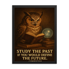 Confucius quote owl with glasses reading history books study the past define the future framed print on a plain backdrop in size 18"x24".