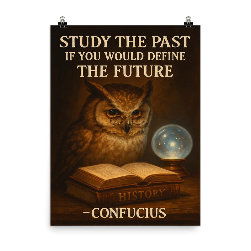 Confucius quote owl with spectacles reading books poster on a plain backdrop in size 8