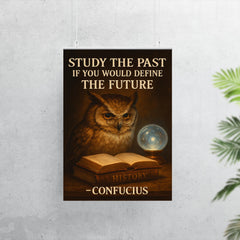 Confucius quote owl with spectacles reading books poster 7