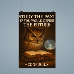 Confucius quote owl with spectacles reading books poster 9