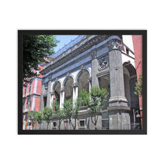 Cosimo Fanzago framed print on a plain backdrop in size 16"x20".