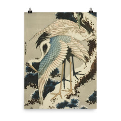 Cranes on Snow Covered Pine by Hokusai, 1834 poster on a plain backdrop in size 8"x10".