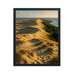 Curonian Spit Dune Ridge Lithuania framed print on a plain backdrop in size 16"x20".