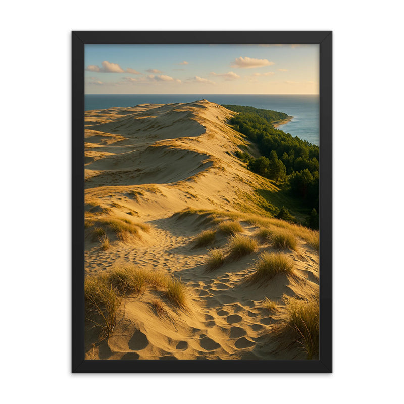 Curonian Spit Dune Ridge Lithuania framed print on a plain backdrop in size 18