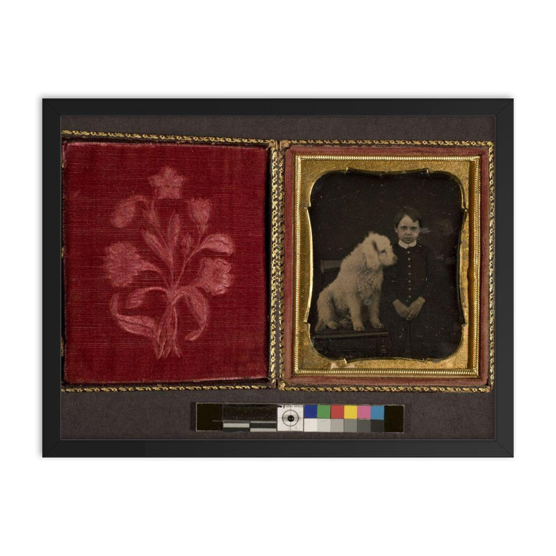 Daguerreotype Portrait of a Boy with a Dog, c. 1850 framed print on a plain backdrop in size 18