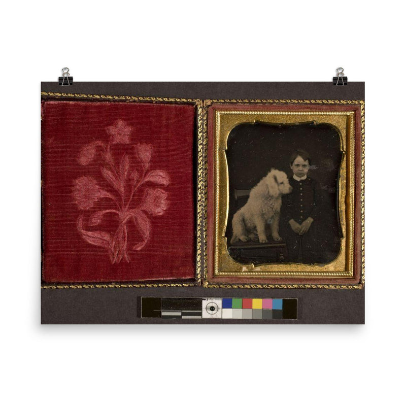 Daguerreotype Portrait of a Boy with a Dog, c. 1850 poster on a plain backdrop in size 8