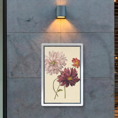 Dahlias by Willen Hekking poster 2