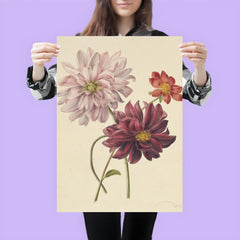 Dahlias by Willen Hekking poster 3