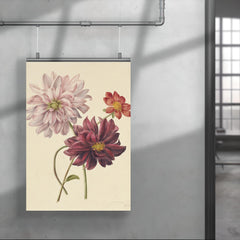 Dahlias by Willen Hekking poster 4