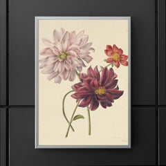 Dahlias by Willen Hekking poster 5