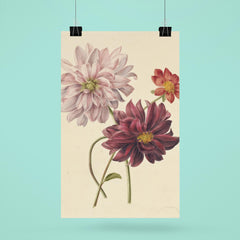Dahlias by Willen Hekking poster 6