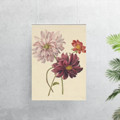 Dahlias by Willen Hekking poster 7