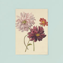 Dahlias by Willen Hekking poster 8