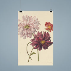 Dahlias by Willen Hekking poster 9