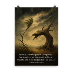 darwin quote not strongest or most intelligent but most responsive to change poster on a plain backdrop in size 8"x10".