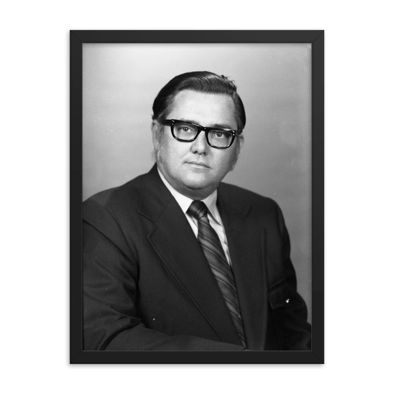 David Berlo framed print on a plain backdrop in size 18