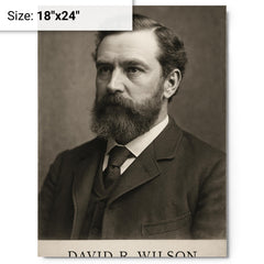 David R Wilson metal print on a plain backdrop in size 18"x24".