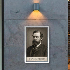 David R Wilson poster 2