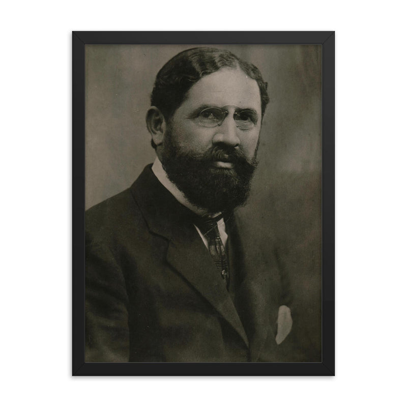 Dervish Hima framed print on a plain backdrop in size 18