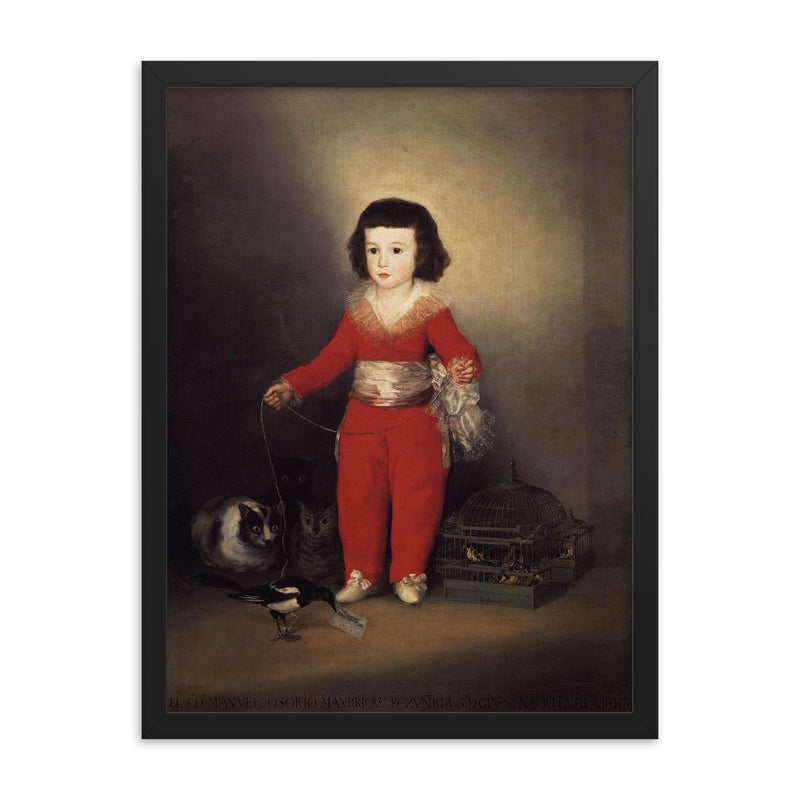 Don Manuel Osorio Manrique de Zuniga by Francisco de Goya y Lucientes framed print on a plain backdrop in size 18