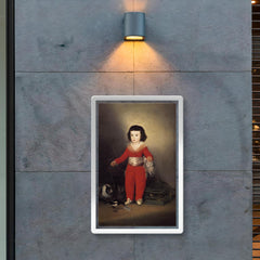 Don Manuel Osorio Manrique de Zuniga by Francisco de Goya y Lucientes poster 2