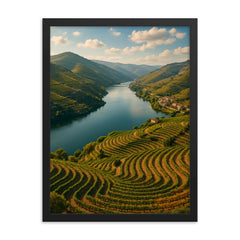 Douro Valley Vine Terraces Portugal framed print on a plain backdrop in size 18"x24".