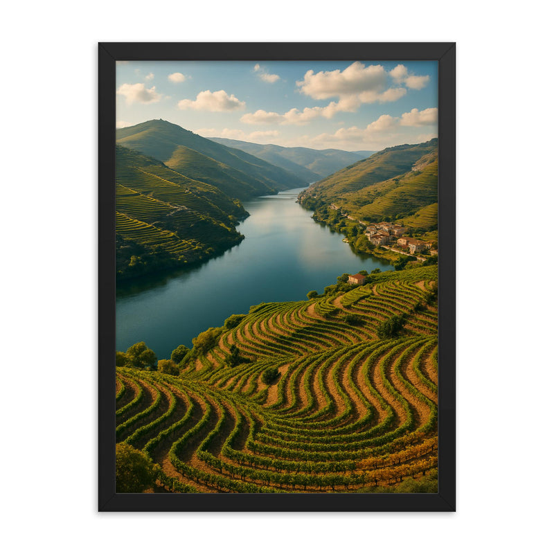 Douro Valley Vine Terraces Portugal framed print on a plain backdrop in size 18