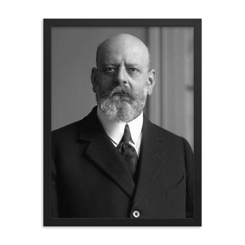 Emiliano Figueroa framed print on a plain backdrop in size 18